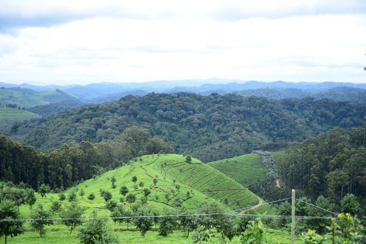 Nyungwe Village Kitabi Buitenkant foto