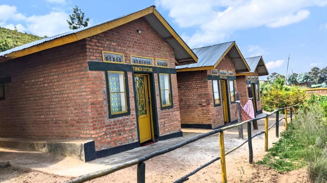 Nyungwe Village Kitabi Buitenkant foto