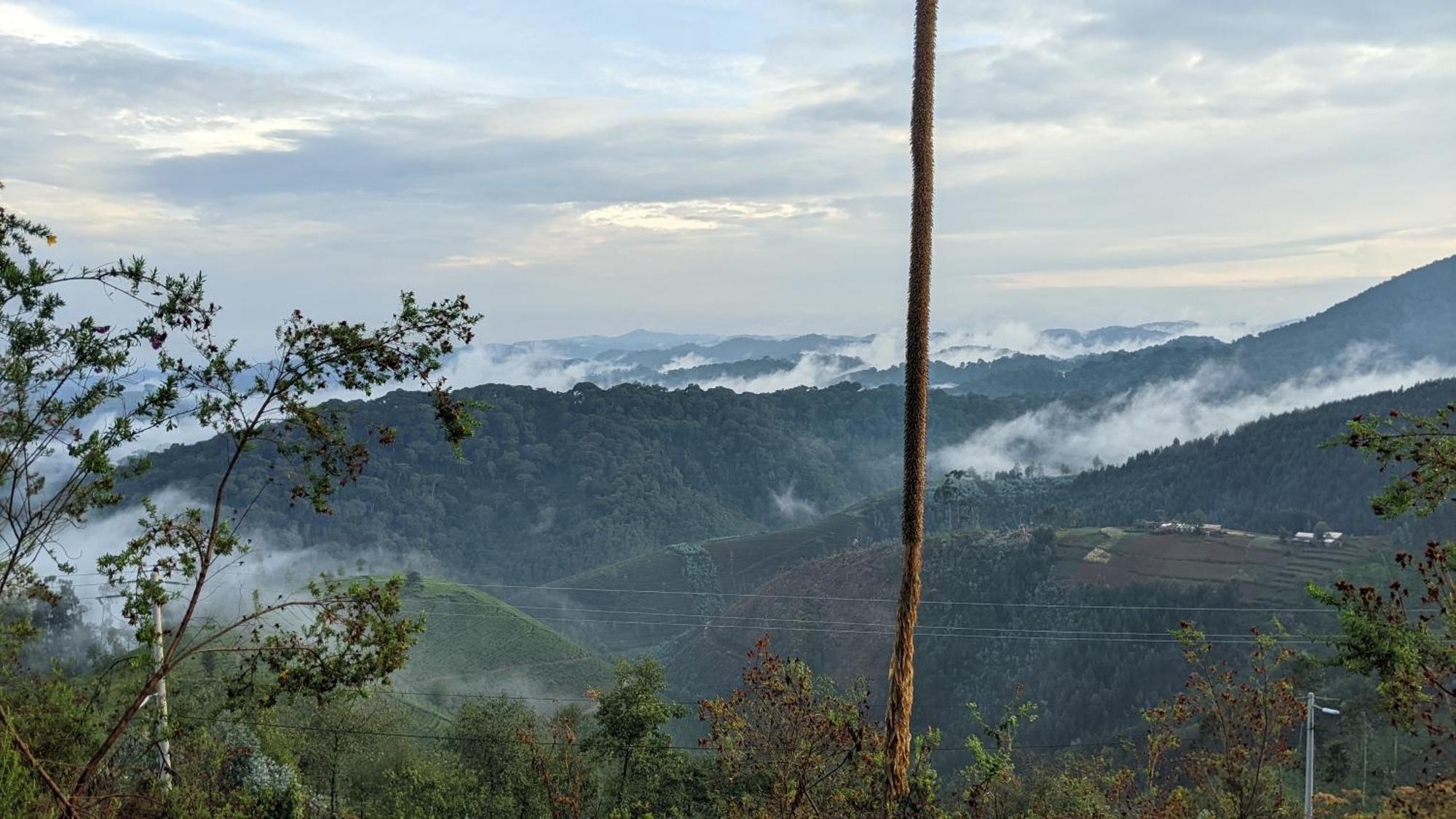 Nyungwe Village Kitabi Buitenkant foto