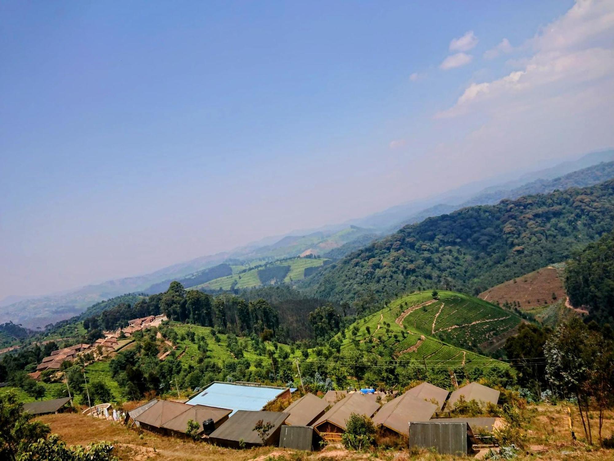 Nyungwe Village Kitabi Buitenkant foto