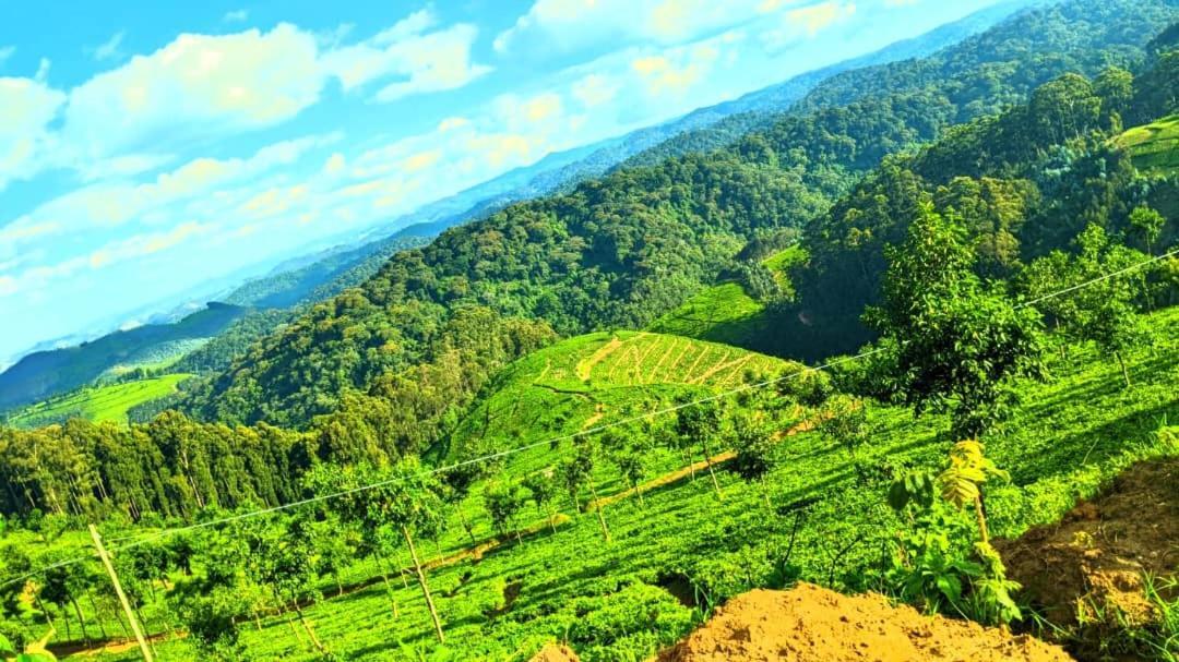 Nyungwe Village Kitabi Buitenkant foto